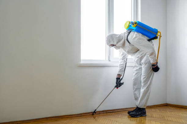 Best Wildlife Control Services  in Mineville, NY