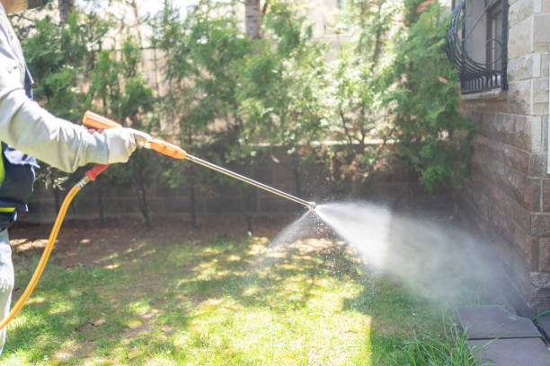 Best Flea Control Services  in Mineville, NY