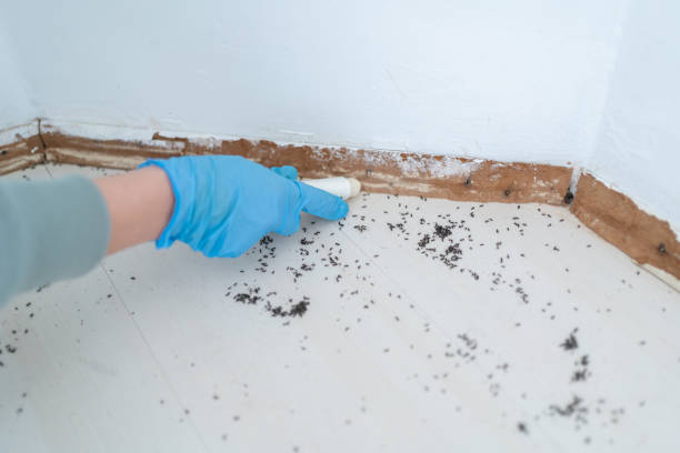 Best Pest Prevention Services  in Mineville, NY