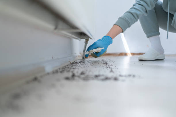 Best Commercial Pest Control Services  in Mineville, NY